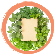 Wildkräuter Rezepte