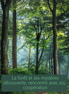 Stage «  La forêt et ses mystères » Découverte, rencontre avec soi, coopération avec la nature  Sylvie Hetzel touraine - annuaire des therapeutes via energetica