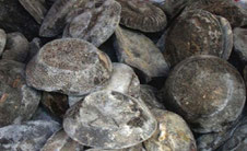 MOSTARDA SICILIANA DI MOSTO