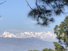 Haidakhan Babaji ashram, Gufa side, divine mother temples