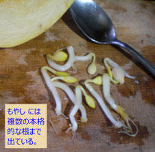 各写真はクリックで拡大できる
