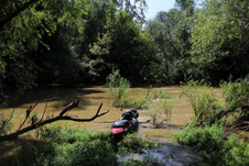 Baumverhau an der Raab