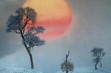 Karte: Fahle Sonne im Winter