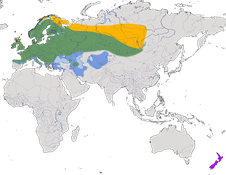 Karte zur Verbreitung der Goldammer (Emberiza citrinella)