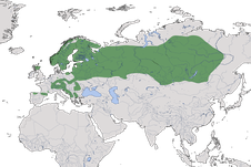 Karte zur Verbreitung des Auerhuhns (Tetrao urogallus)