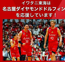 愛知県無料招待 - 名古屋ダイヤモンドドルフィンズ vs 富山グラウジーズ 観戦チケットプレゼント