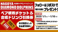 名古屋ダイヤモンドドルフィンズ 観戦チケット プレゼント