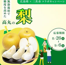 広島県懸賞-広島梨-プレゼント