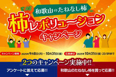 JAわかやま 柿キャンペーン