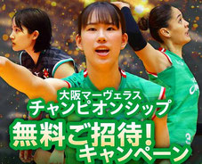 大阪マーヴェラス クォーターファイナル 無料招待