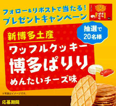 福岡キャンペーン - 博多ぱりり プレゼント