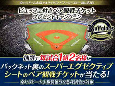 大阪無料招待 - オリックスバファローズ 京セラドーム全64試合 観戦チケットプレゼント