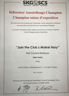 Schweizer Ausstellungs-Champion