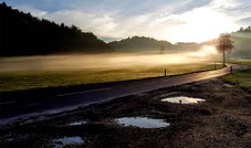 Morgenstimmung  (Foto: Hans Weiss)