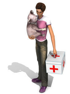 Artwork Outback Pet Rescue 3D