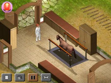 Screen Horse Vet 3D