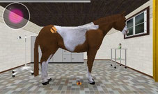 Screen Best Friends – My Horse 3D