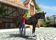 Screen Horse Vet 3D