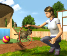 Screen My Pet School 3D