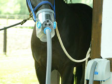 Air One Ultraschall Inhalator Pferd