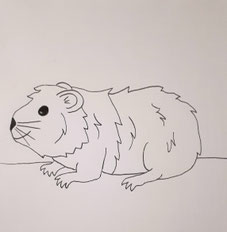 Meerschwein