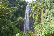 Materuni Waterfalls and Chemka Hot Springs