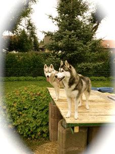 Snow und Stella