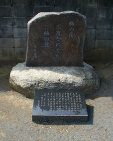 漱石墓参の折に詠んだ句が刻まれた碑-東京 小日向 本法寺-東京都文京区のお墓 永代供養墓 法要-