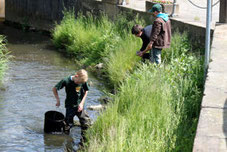 Fischbrut zur Stützung des Bestandes