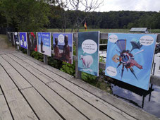 Van Gogh als Vegetgarier am Wildschweinzaun Schusterkate