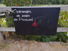 Affe telefoniert mit Kopenhagen