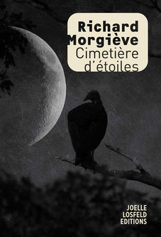 Couverture Cimetière d’étoiles  #Roman #Noir #MauvaisGenre #SerialKiller #LoiDuTalion #Crime #Fiction #Texas #WesternModerne #BasFonds #Alcool #Psychologique #Métaphysique