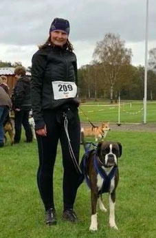 strong dog Boxer Hund vonderwaldnielerheide 