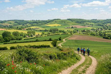 Groupe de randonneurs avec sacs à dos marchant sur un sentier à travers la campagne vallonnée et verdoyante de la Côte d'Opale, idée de balade nature au départ du Gite Saint Lambert.