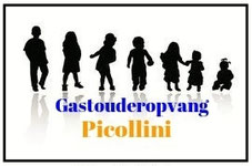Gastouderopvang Picollini