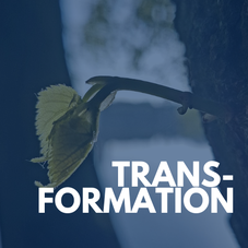 TRANSFORMATIONS-RETREAT: Impulse, Anregungen und Vorgehensweisen - Empowerment für Veränderung