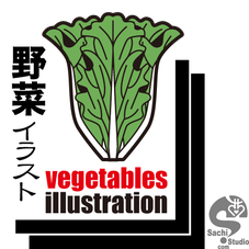 #sachi-studio　#vegetable　#野菜　#lettuce　#レタス