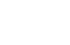 Magnusviatores