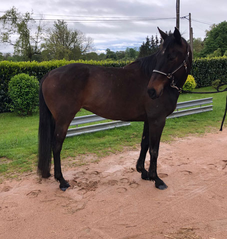 Sa mère, Uez Connexion