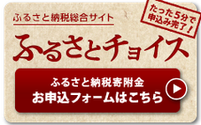 ふるさと納税総合サイト ふるさとチョイス