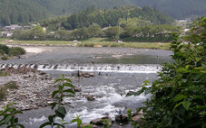 Itadori river