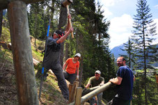 Bergwaldprojekt