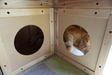 愛玩動物オリジナル家具