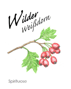 Wildbrenner_Brennerei Wild Walddorf_Weissdorn