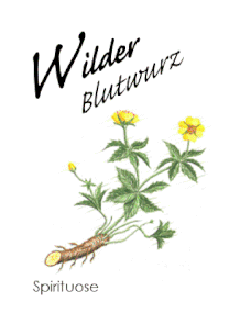 Wildbrenner_Brennerei Wild Walddorf_Blutwurz