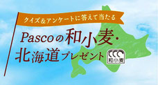 Pasco 北海道旅行 プレゼント
