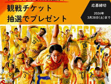 秋田県無料招待 - ジェイテクトSTINGS SVリーグ 観戦チケットプレゼント
