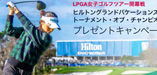 ヒルトン キャディバッグなど プレゼント
