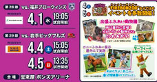 福島県無料招待 - 福島ファイヤーボンズ 無料招待