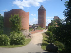 Gauja-nationaal-park-Letland-kasteel